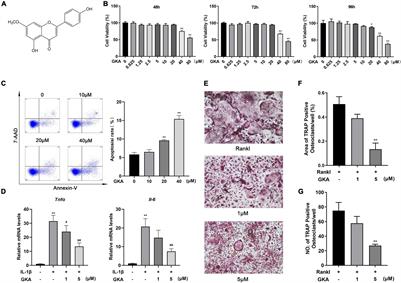 Genkwanin Prevents Lipopolysaccharide-Induced Inflammatory Bone Destruction and Ovariectomy-Induced Bone Loss